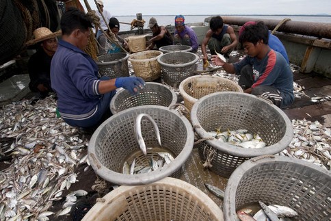 Overfishing in Malaysia