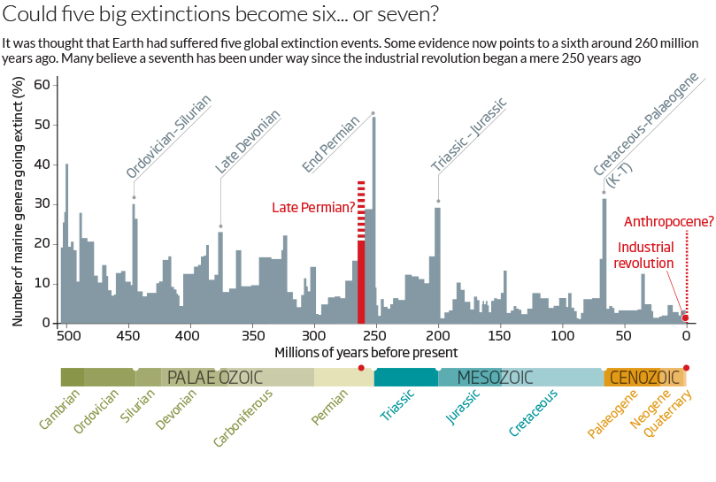 Could five big extinctions become six... or seven?