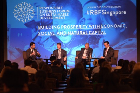 RBF natural capital panel